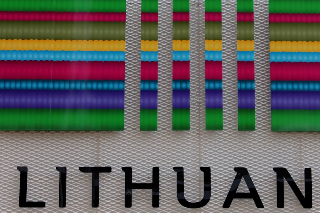 lithuanian investor meeting